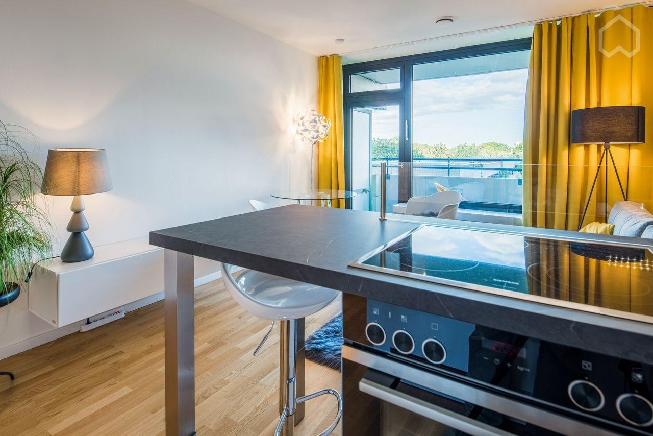 Stilvolles 1-Zimmer-Apartment mit West-Balkon