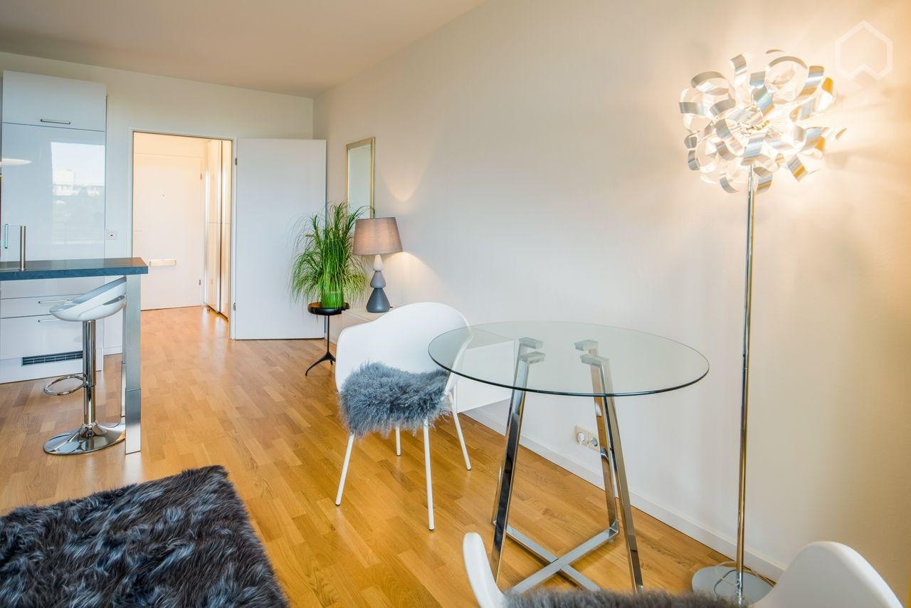 Stilvolles 1-Zimmer-Apartment mit West-Balkon