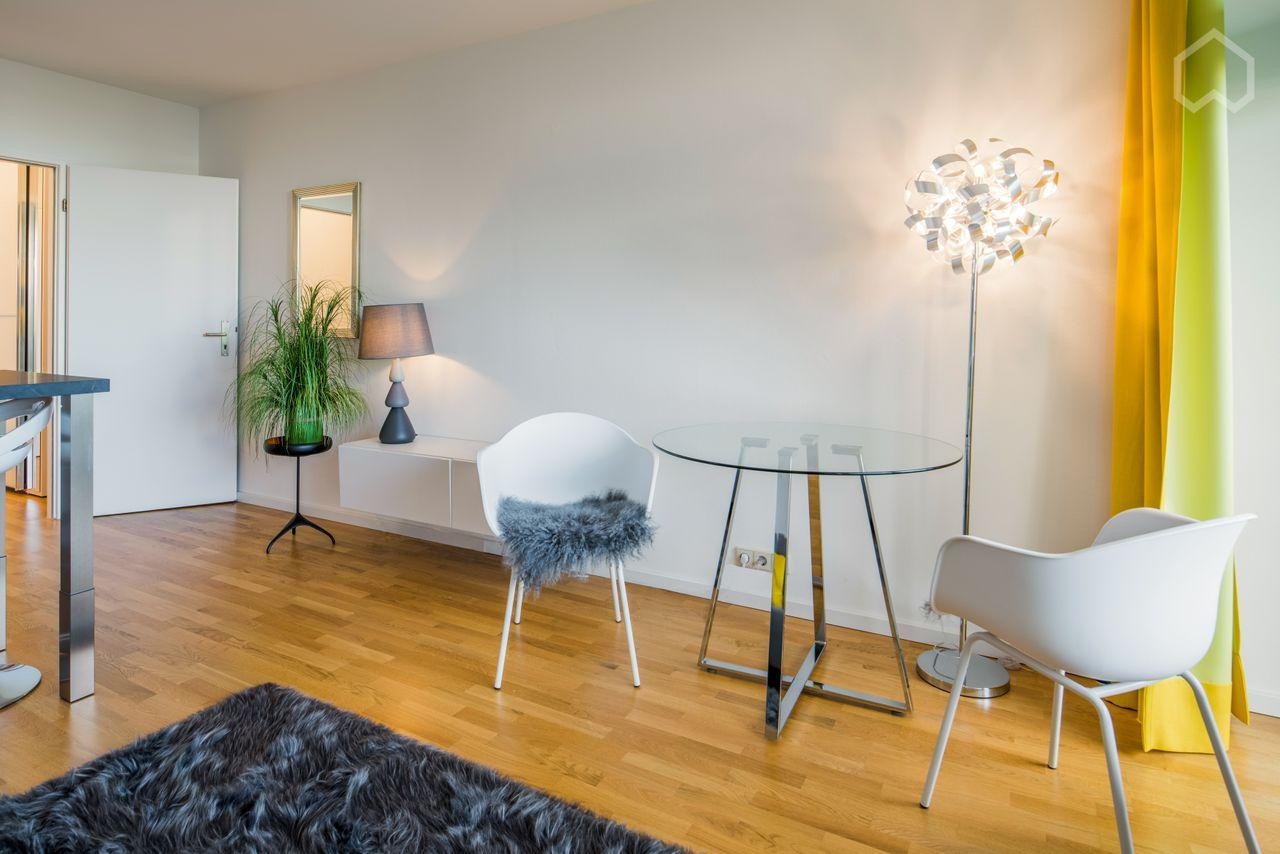 Stilvolles 1-Zimmer-Apartment mit West-Balkon